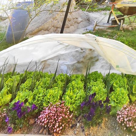 Apartma Jermol Most na Soči Dış mekan fotoğraf